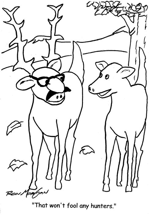 "That won't fool any hunters."