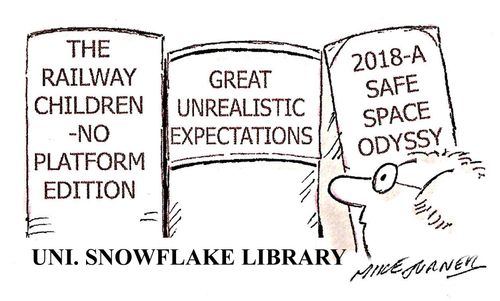 Uni. Snowflake Library