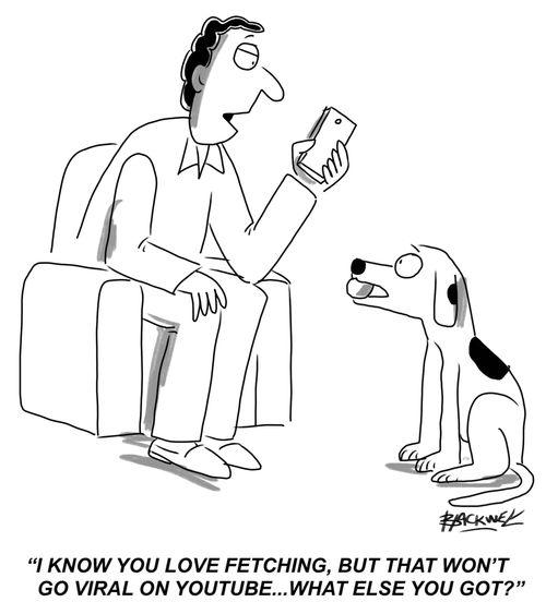 "I know you love fetching, but that won't go viral on youtube...what else you got?"