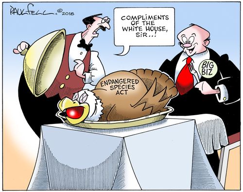 "Compliments of the White House, Sir...!"