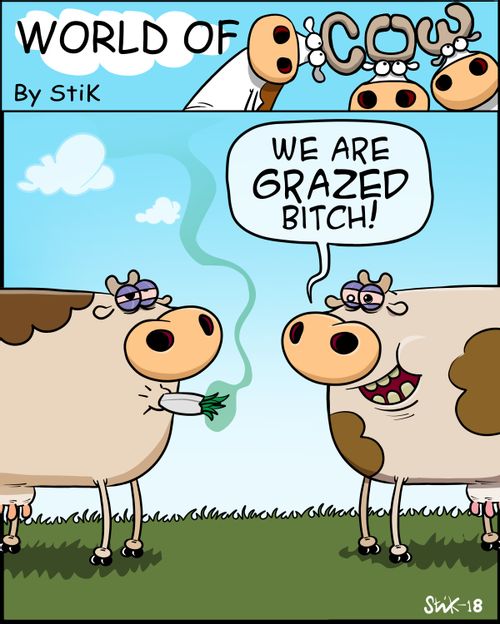 "We are GRAZED bitch!"