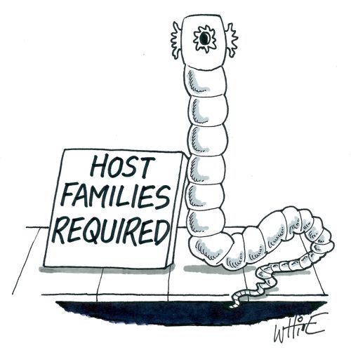 Host Families Required