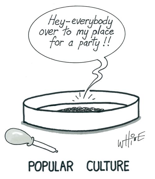 Popular Culture