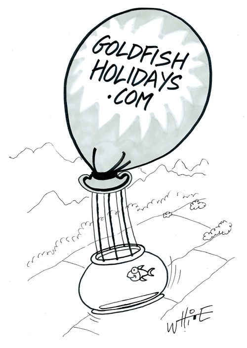 GoldfishHolidays.com