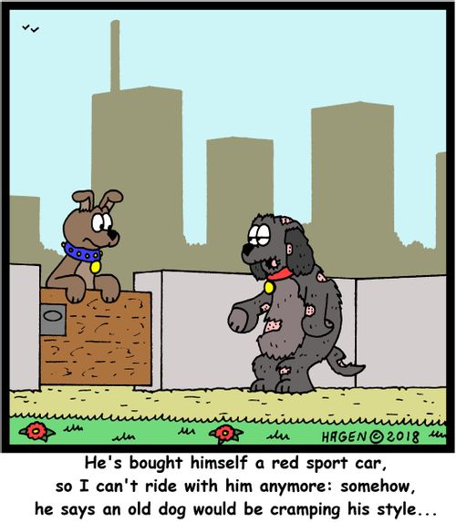 "He's bought himself a red sport car, so I can't ride with him anymore: somehow, he says an old dog would be cramping his style..."