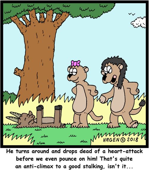 "He turns around and drops dead of a heart-attack before we even pounce on him! That's quite an anti-climax to a good stalking, isn't it..."