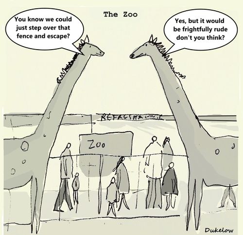 "Yoy know we could just step over that fence and escape?"