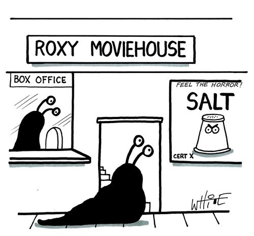 SALT- The horror movie