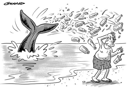 Whale fluke throws plastic waste back onshore.