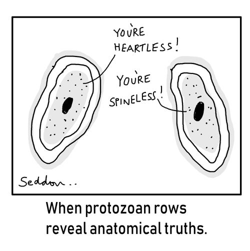 When protozoan rows reveal anatomical truths.