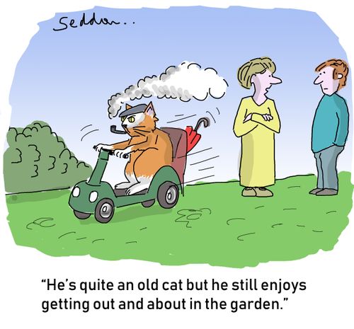"He`s quite an old cat but he still enjoys getting out and about in the garden."