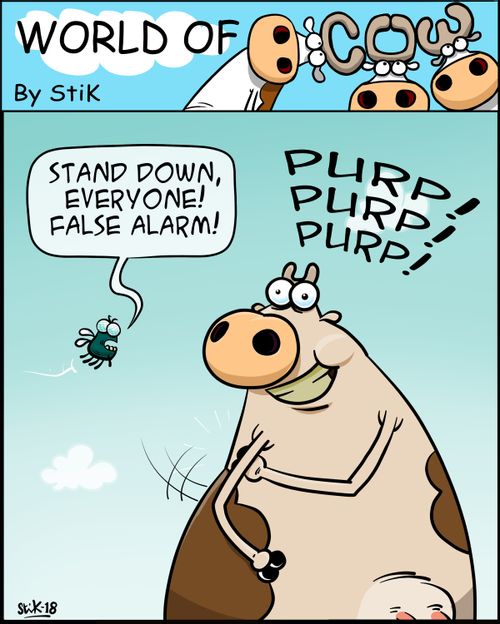 "Stand down, everyone! False alarm!"