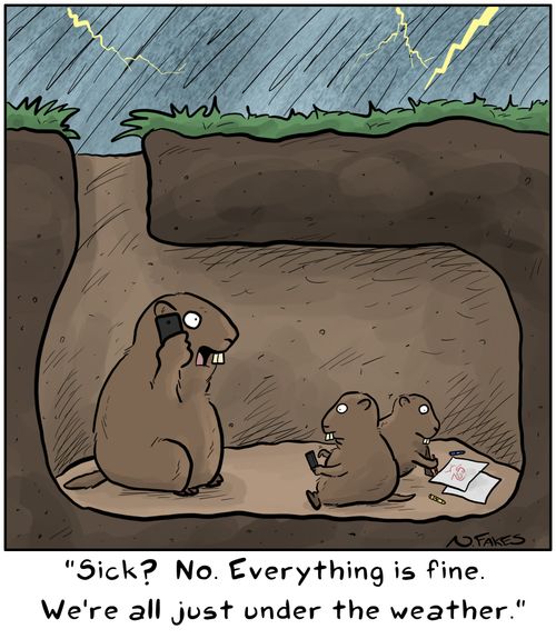 "Sick? No. Everything is fine. We're all just under the weather."