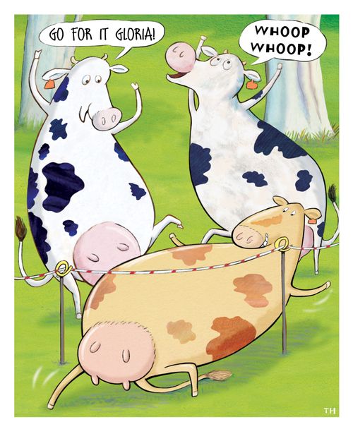Cow limbos under electric fence.