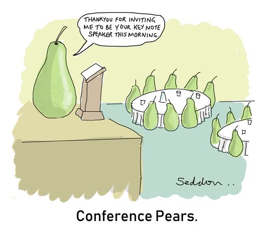 Conference Pears