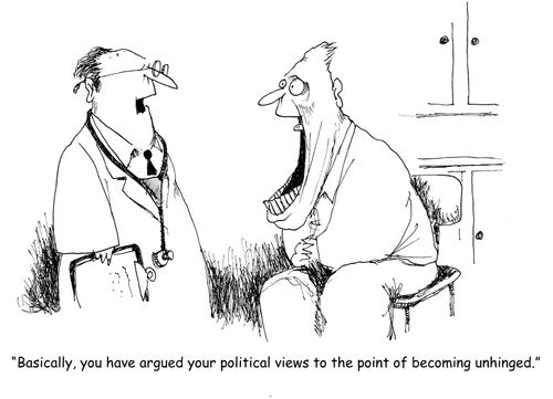 "Basically, you have argued your political views to the point of becoming unhinged."