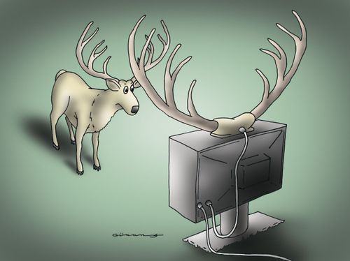 Deer TV