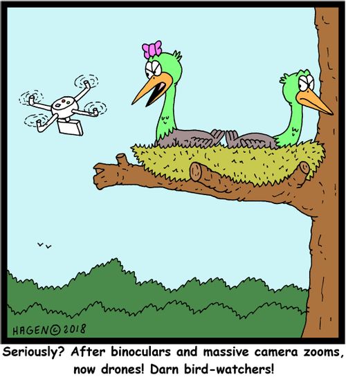 "Seriously? After binoculars and massive camera zooms, now drones! Darn bird-watchers!"