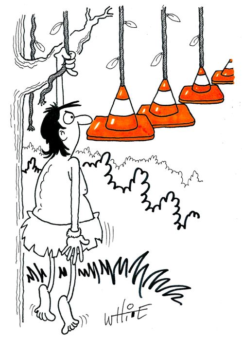 Jungle Traffic Cones