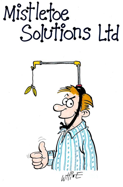 Mistletoe Solutions Ltd...