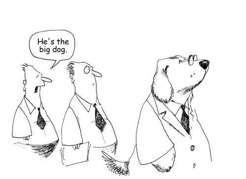 "He's the big dog."