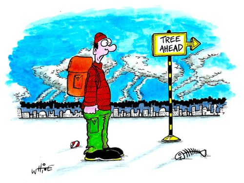 Tree Ahead...