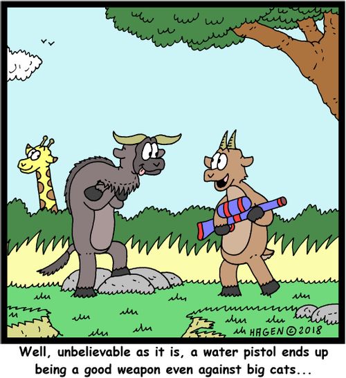 "Well, unbelievable as it is, a water pistol ends up being a good weapon even against big cats..."