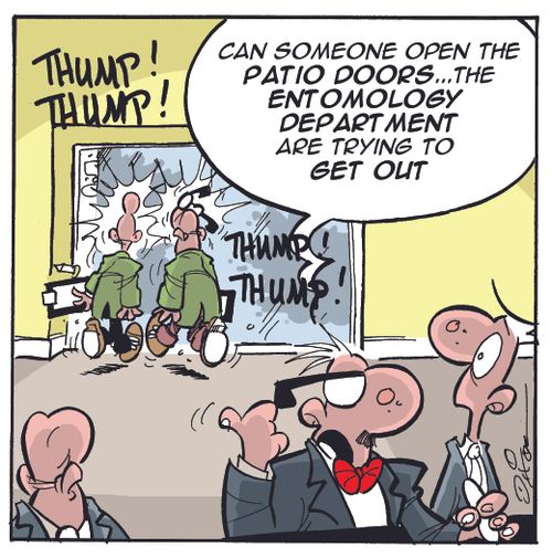 "Can someone open the patio doors...the entomology department are trying to get out."