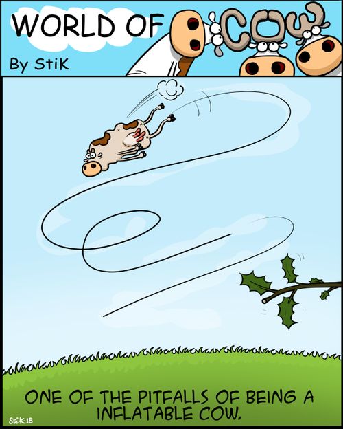 One of the pitfalls of being a inflatable cow.