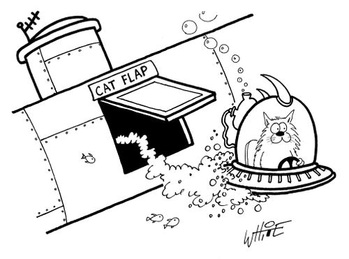 Submarine Catflap