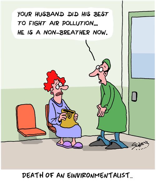 Death of an Environmentalist