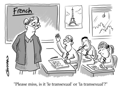 "Please miss, is it 'le transexual' or 'la transexual'?"
