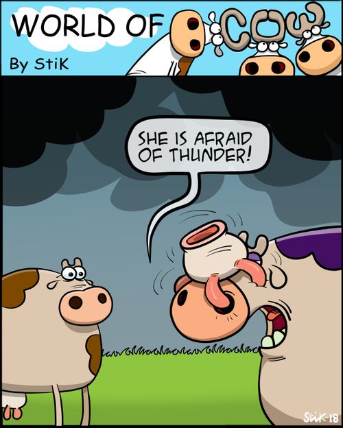 "She is afraid of thunder!"