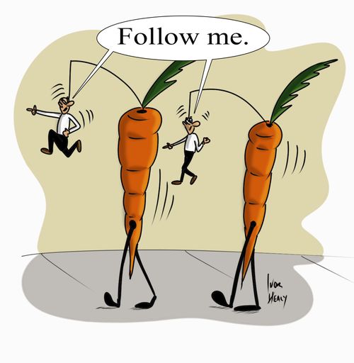 "Follow me."