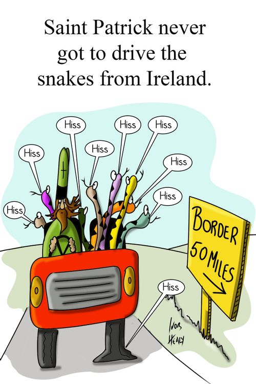 Saint Patrick never got to drive the snakes from Ireland.