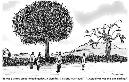 "It was planted on our wedding day...it signifies a strong marriage."