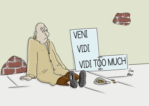 Veni Vidi Vidi Too Much