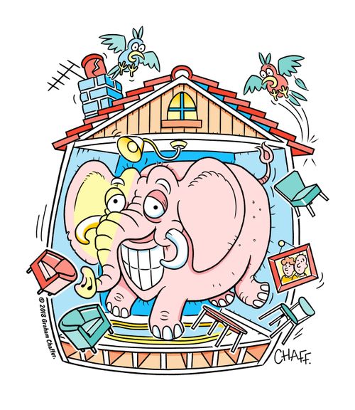 The Elephant in the Room