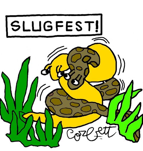 Slugfest! 