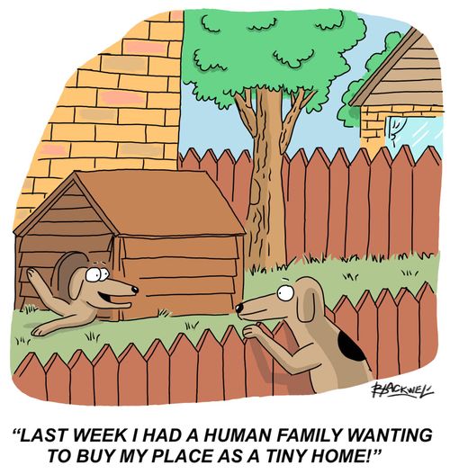 "Last week I had a human family wanting to buy my place as a tiny home!"