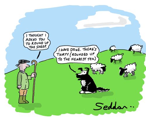 "I thought I asked you to round up the sheep."
