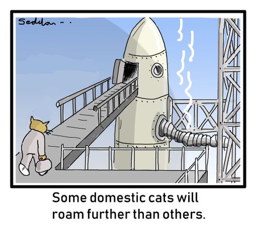 Some domestic cats will roam further than others.