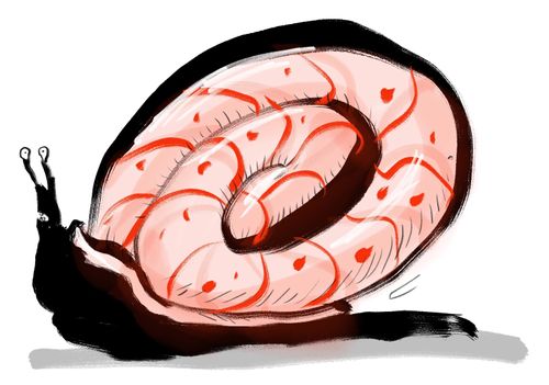 Pink Snail