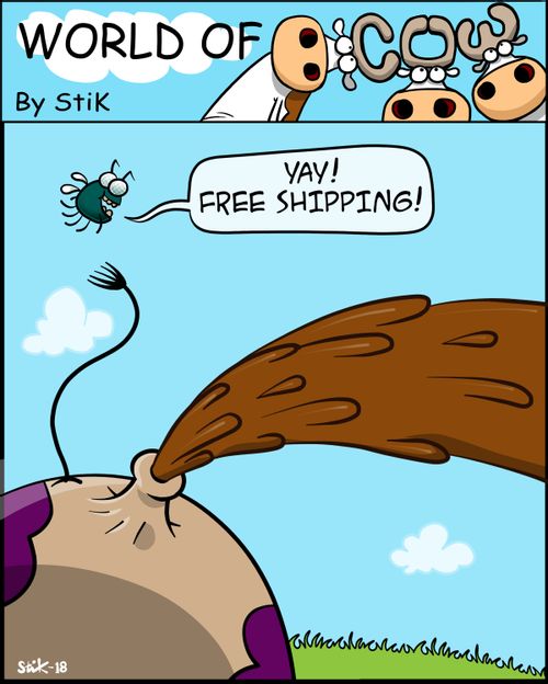 "YAY! FREE SHIPPING!"