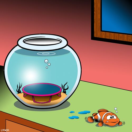 Fish Trampoline