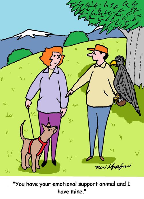 "You have your emotional support animal and I have mine." 