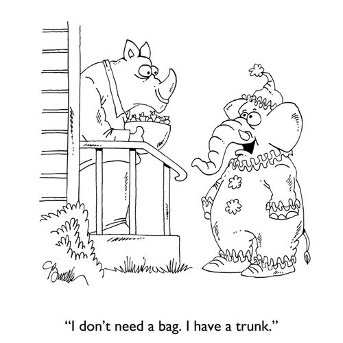 "I don't need a bag. I have a trunk."