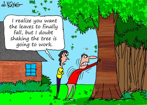 "I realize you want the leaves to finally fall, but I doubt shaking the tree is going to work."