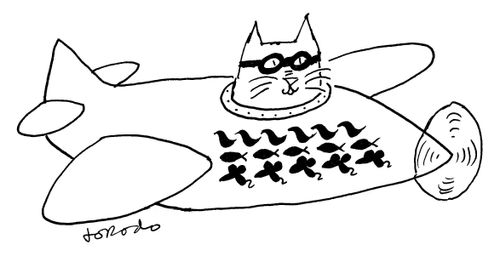 Cat fighter pilot with number of kills