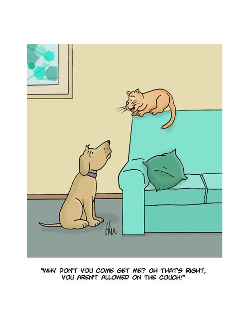 "Why don't you come get me? Oh that's right, you aren't allowed on the couch!"